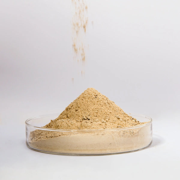 Refractory castable